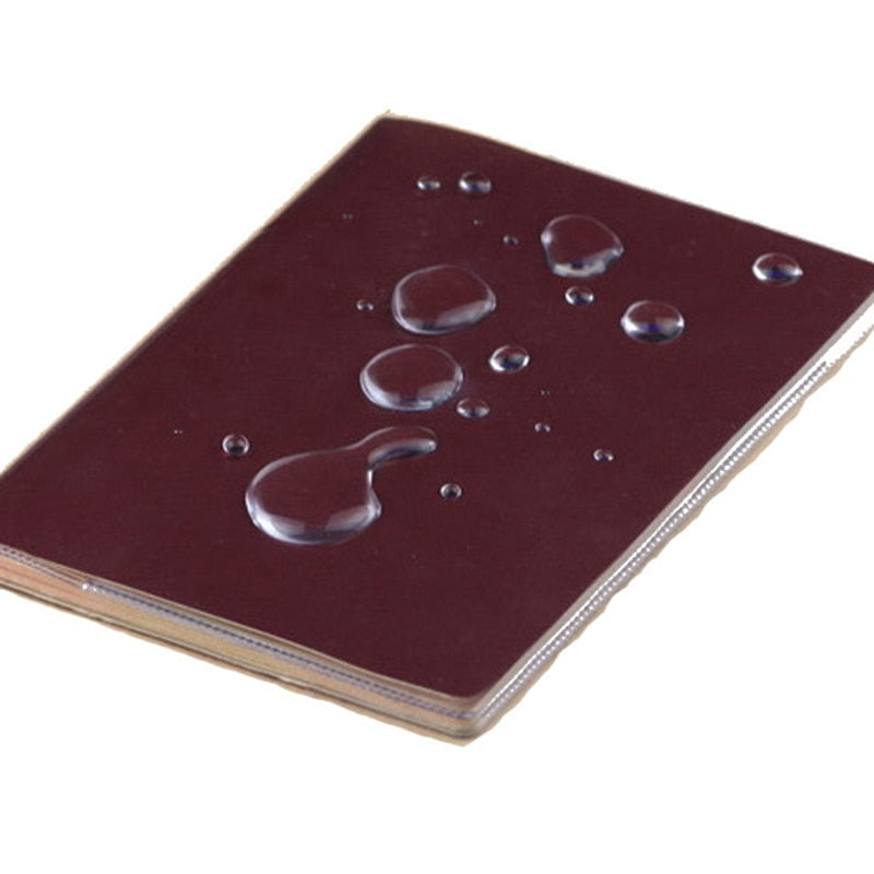 Protège-Passeport Transparent - Édition Voyage