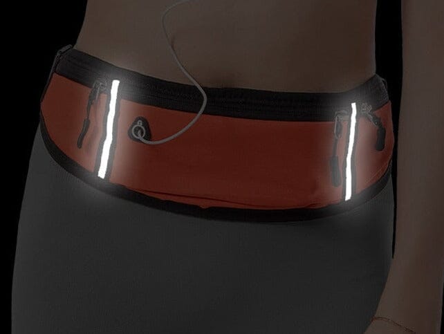 Ceinture de Voyage pour Papiers Élite