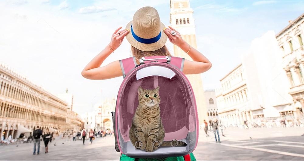 Sac de Voyage Chat - La Grande Aventure
